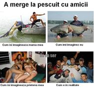 carpbook